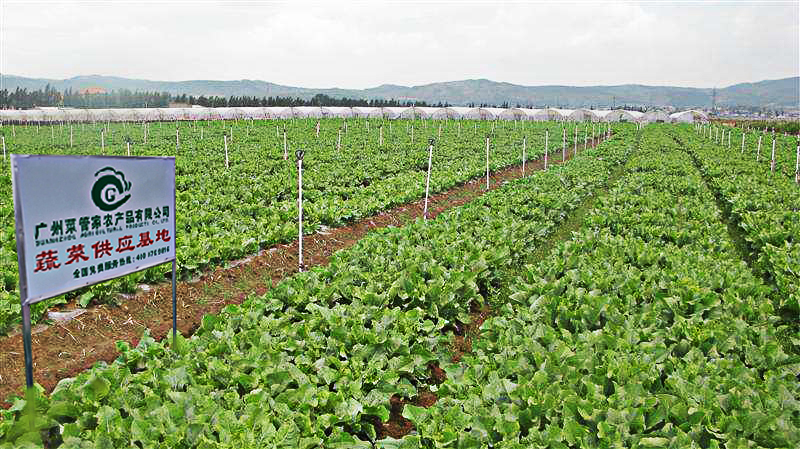 �ؿ� | ���ѣ���6��ʳƷ��ȫ����Ҫע�⣡�������ܾ���