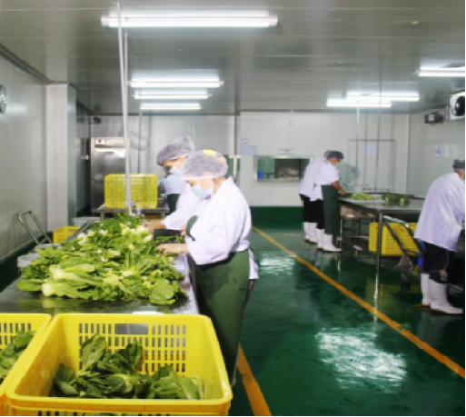 �˹ܼ����������ʳƷ�ӹ������淶