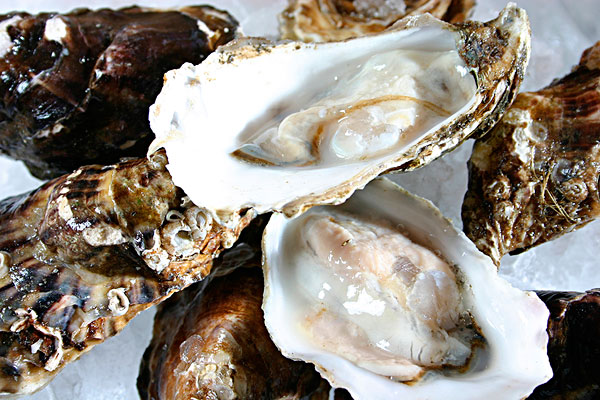 ���Աؿ����Ŵ�ƽ�ʳ�ס�