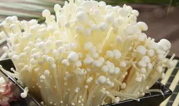 ����ũҩ���ʵ������߲ˣ�����Ϊ���Իƽ𡱣�