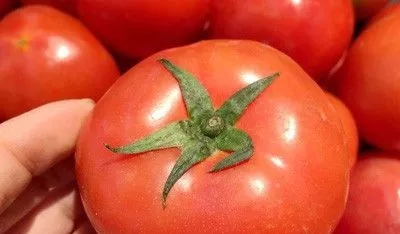 �����ϻ��ʲô�ܽ��� ��Щʳ������