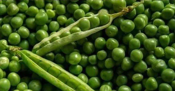 Ů�Բ������ϣ�����ʳ��Ҫ���!