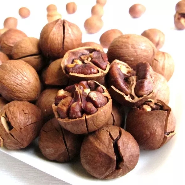 ����ʳӪ��������Ӧ�á��������