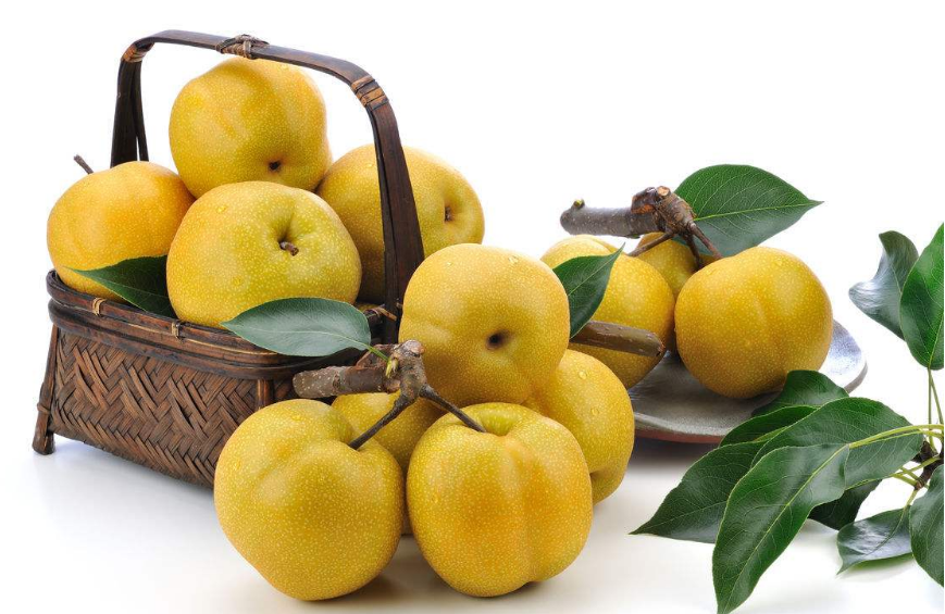 �˹ܼҸ����㣺�������׵ġ���С��ҵ��ˣ�ÿ����ˮ��һ����ɤ�Ӳ���Ҳ������