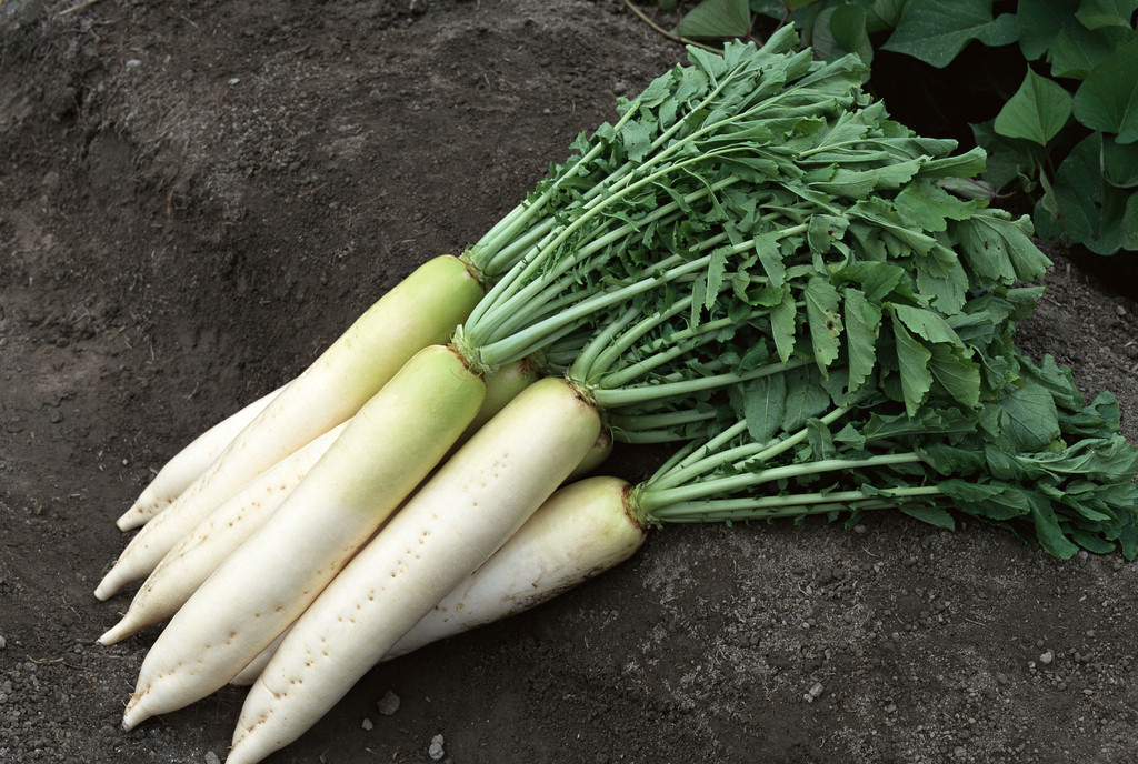 �������ܲ����������ģ�