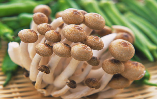 ���Ģ���������ΰ�