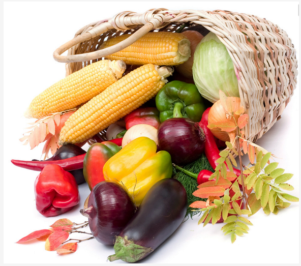 �ڼ���� ��7��ʳ������ܸ�ҹ��