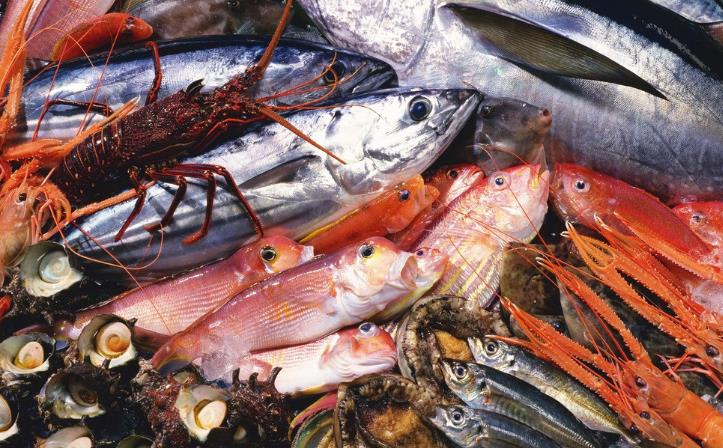 ���ʳԲ������ж�