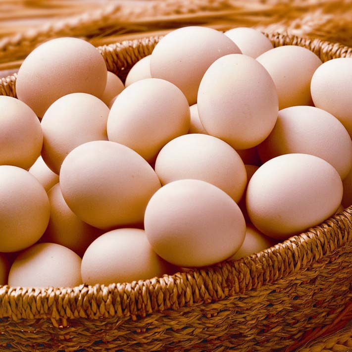 ��ͱسԼ����߸����ɣ�