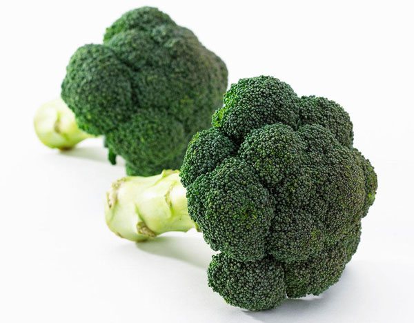 һ�ֲ˿��������ҩ