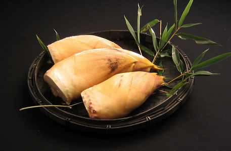 ������������Ķ�