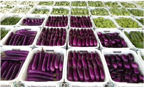 ҽ����������������߲�