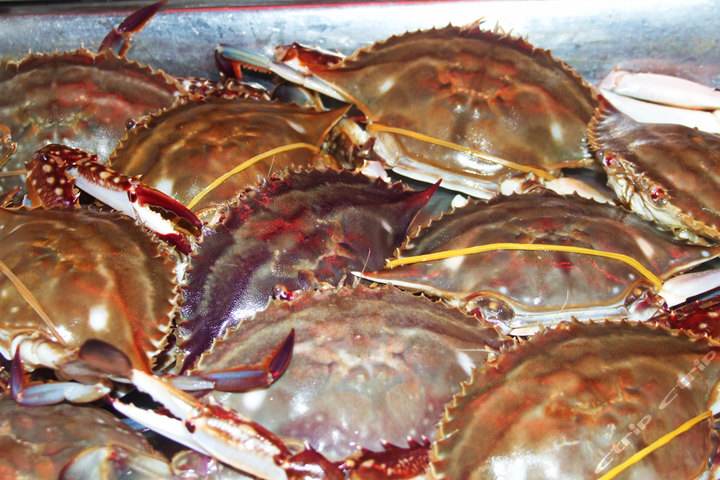 �зעˮ����Ϊ����