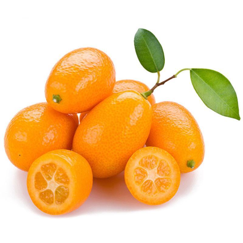 ˹ܼ:,ʪԶ~