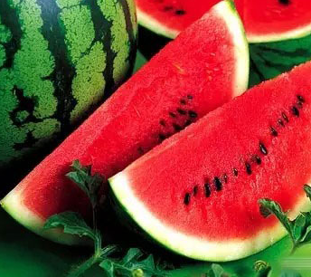 ˹ܼҸ㣺ļ20ʳ»