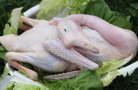 ˹ܼѼ