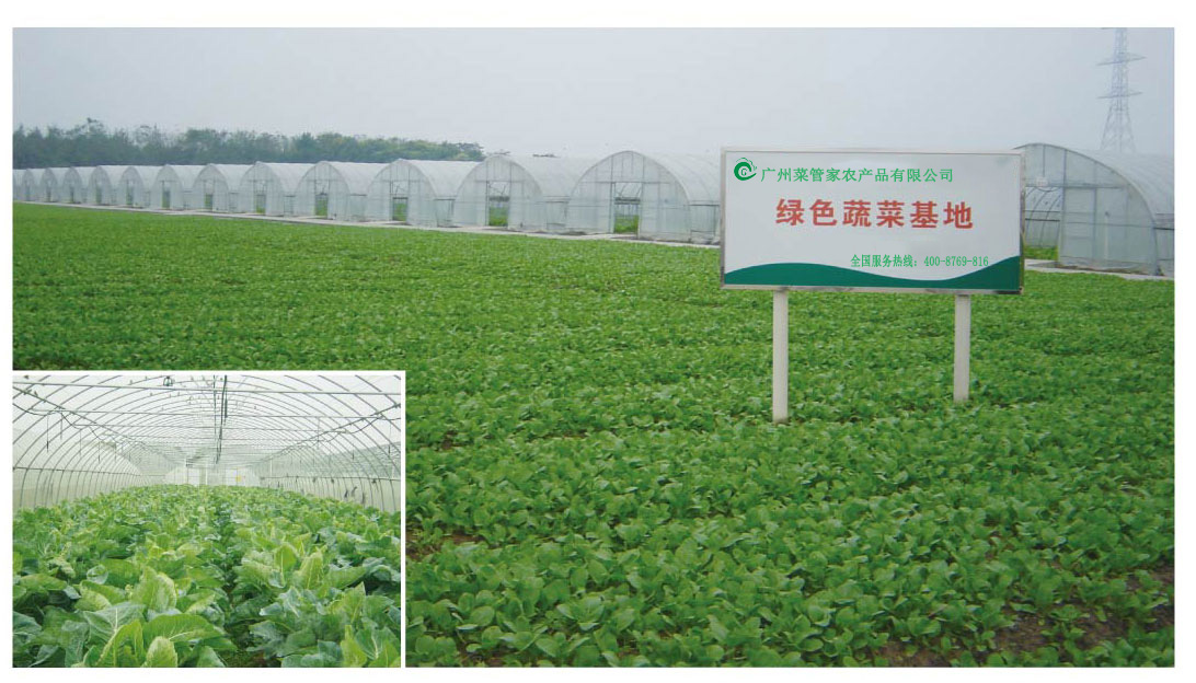 菜管家告诉你:吃这些蔬菜,好比你吃的那些保健品~ 菜管家告诉你:吃这些蔬菜,好比你吃的那些保健品~