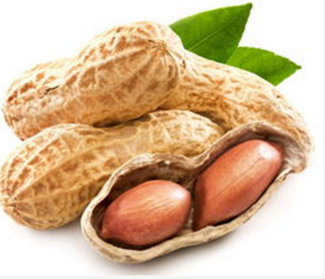 ǧ�������������ʳ���ˣ���ȩ�����ߵ����ף�Խ�԰�֢����Խ����