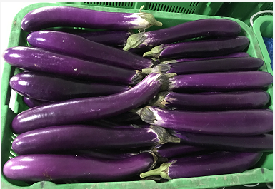 ��ʳ��������Щʳ������ѡ