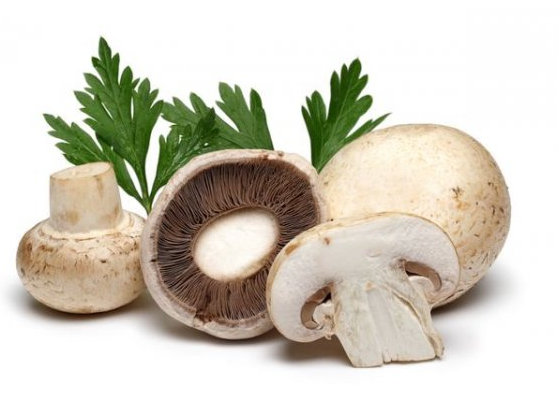 Ģ���óԵļ�ֵ�����