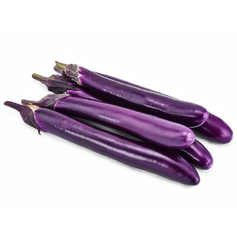 ҽ����������������߲�