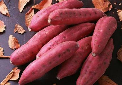 ������ô���̲�����