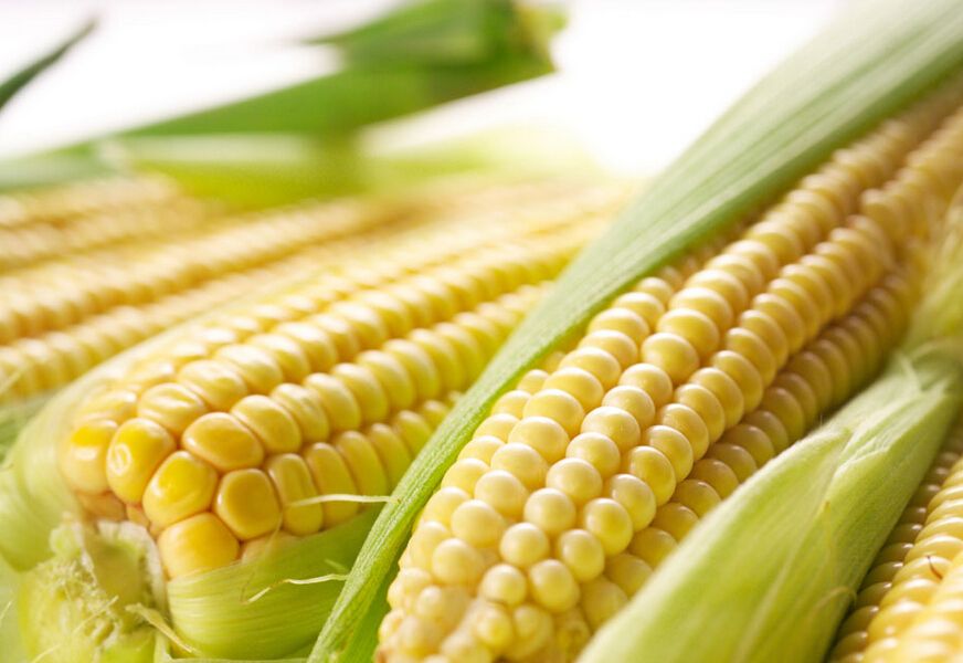 �����������򡢽�ѪѹѪ��