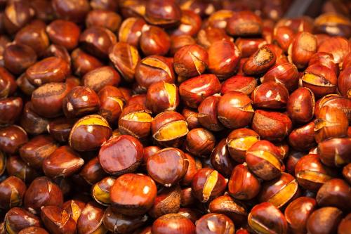 �˹ܼ�����������ǳ����ӵ������