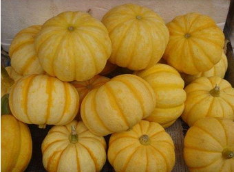 �ϹϵĹ�Ч�����ü�Ӫ����ֵ