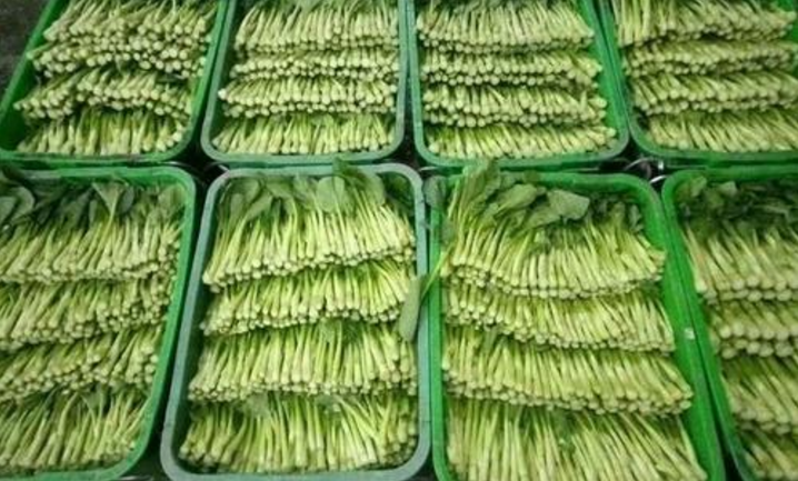 �߲�������Ҫע��ʲô