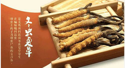 �����Ĳ���ô�����̫�˷���