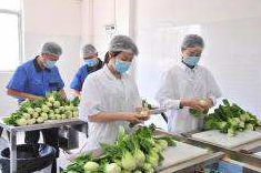 ���������Է��ڸ�����̬�����ҵ��ʣ�