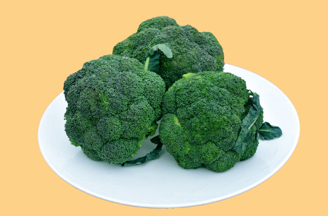 �������ͻ�Ҭ��