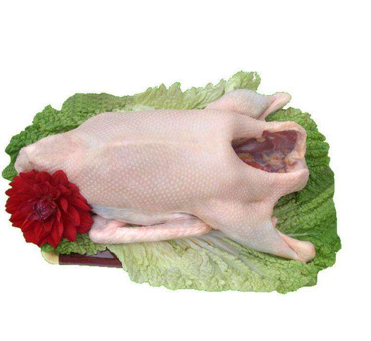 �˹ܼ��������----����