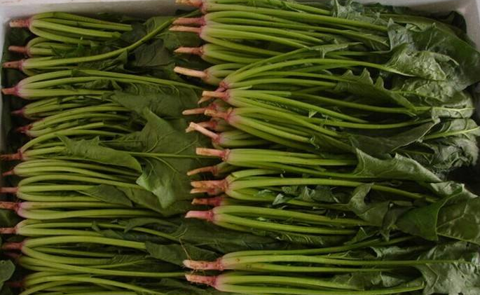 �˹ܼ��������---����