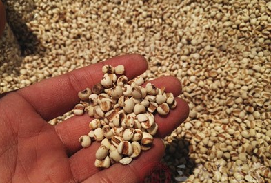 �춹޲�����ע��