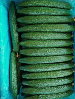 �¹��Ӹ�ע����ǵ��¶�