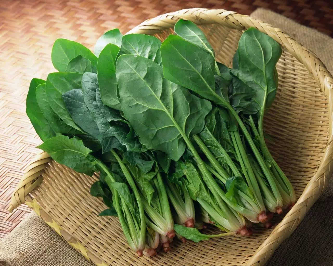 如何识别有毒野菜 如何识别有毒野菜