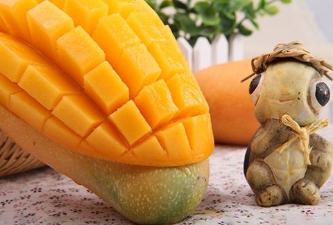 �˹ܼ������������â��