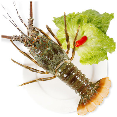 �����ϴС��Ϻ