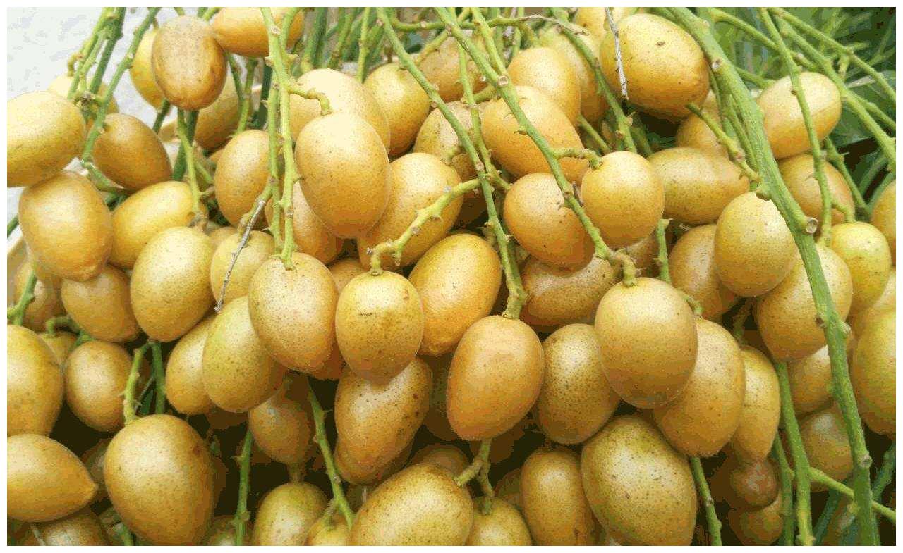 �˹ܼ������������ȫ�����Ǳ��Ļ�Ƥ