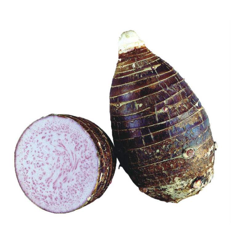 �������ͷ�������Լ����ǵ�Ӫ����ֵ