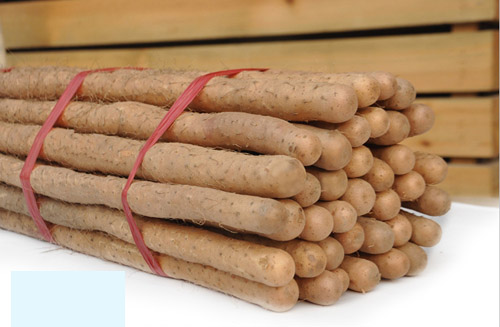 ɽҩ�Զ��˻����������㻹�ҳ��