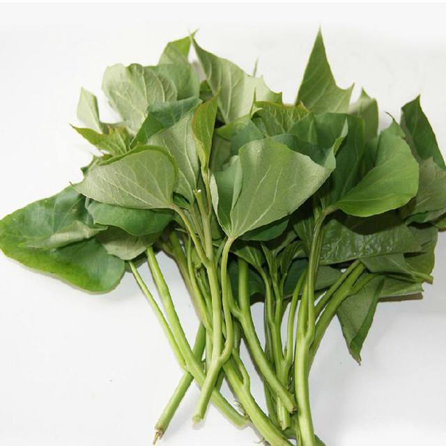 ���ں���ε�����ʳ