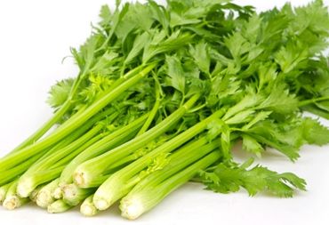 �˹ܼ�������������۲�