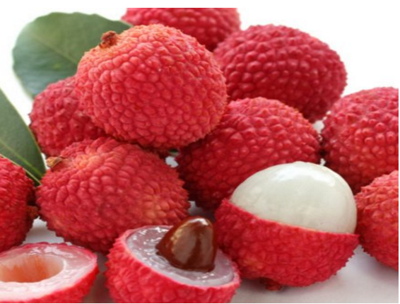 ��֦�ĺ��뻵