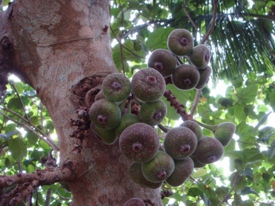 ɽ��ҲҪ����ֵ���֪����