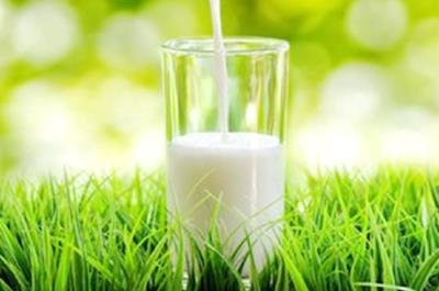 ��ţ��Ҳ��Ҫ�н����ģ���ȻҲ�ǰ׺ȣ�