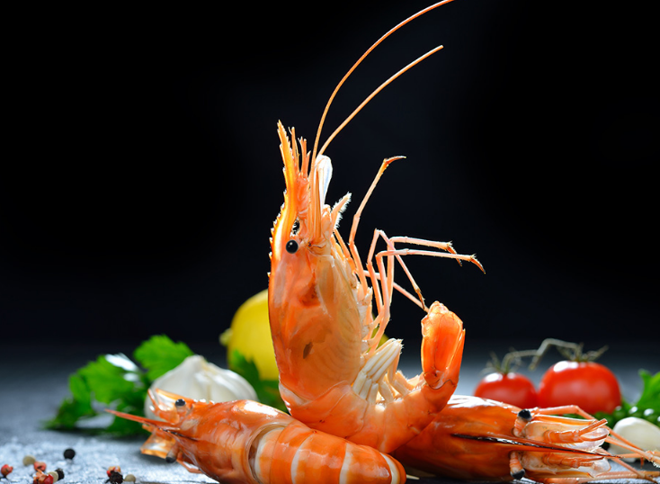 �˹ܼ�Ϊ��ҷ�����ΰ�Ϻ�����ɾ�