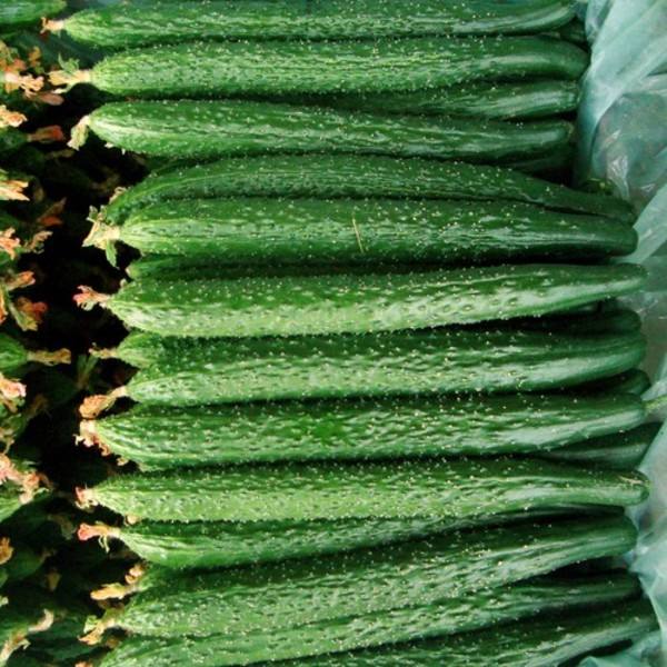 ��Ͽ��Լ����